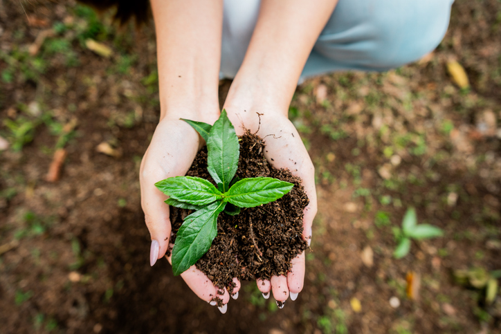 Take the Next Step on Your Sustainability Journey With AEM’s Sustainability Toolkit