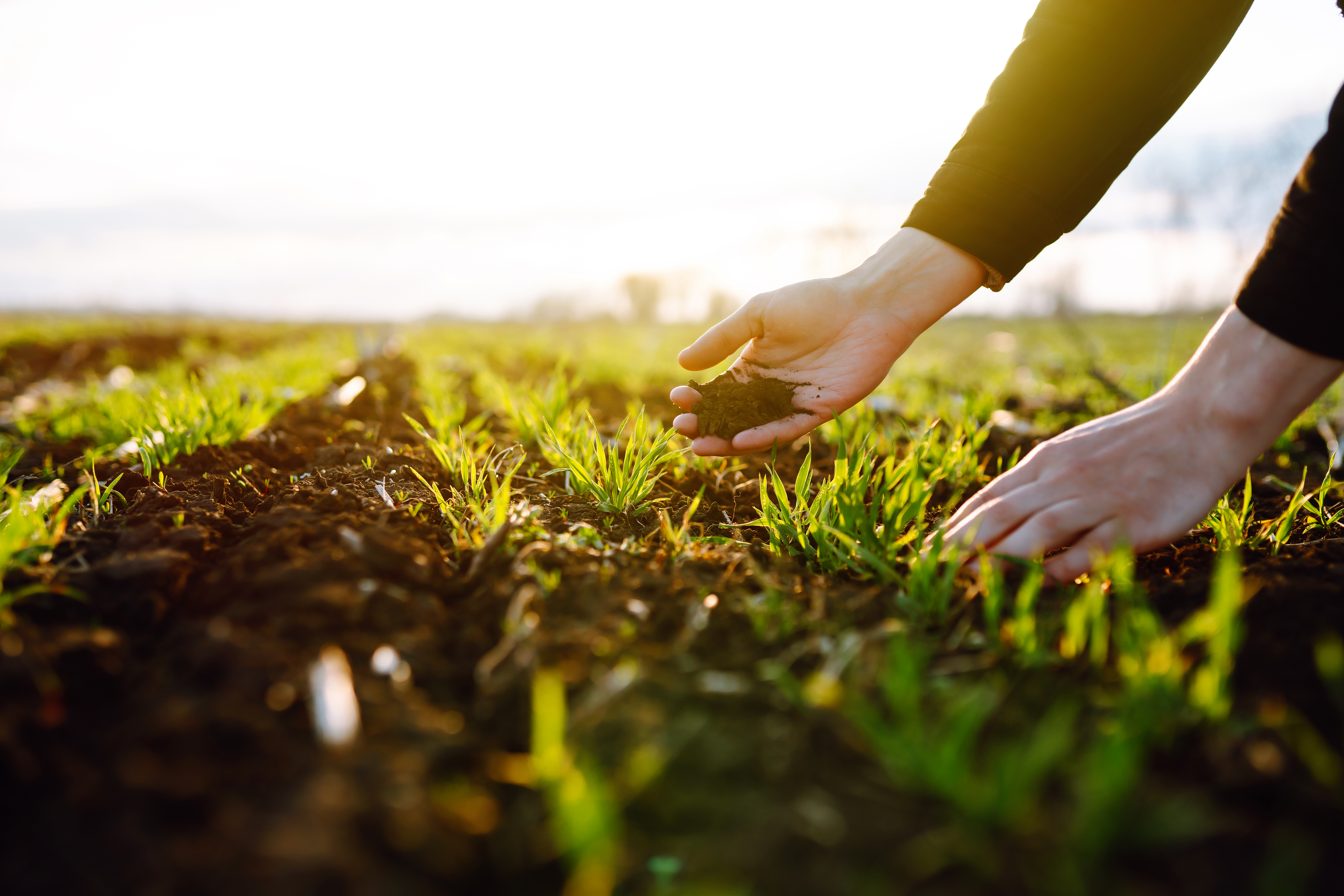 How Carlisle TyrFil Is Redefining Tire Sustainability
