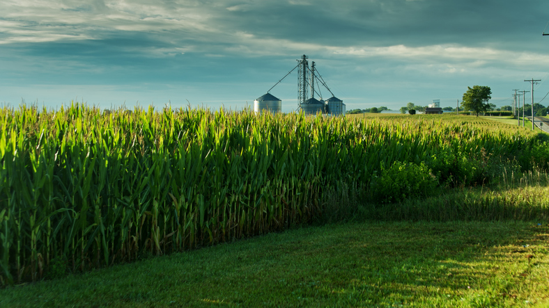 Future of the Farm Bill Rests in the Senate’s Hands