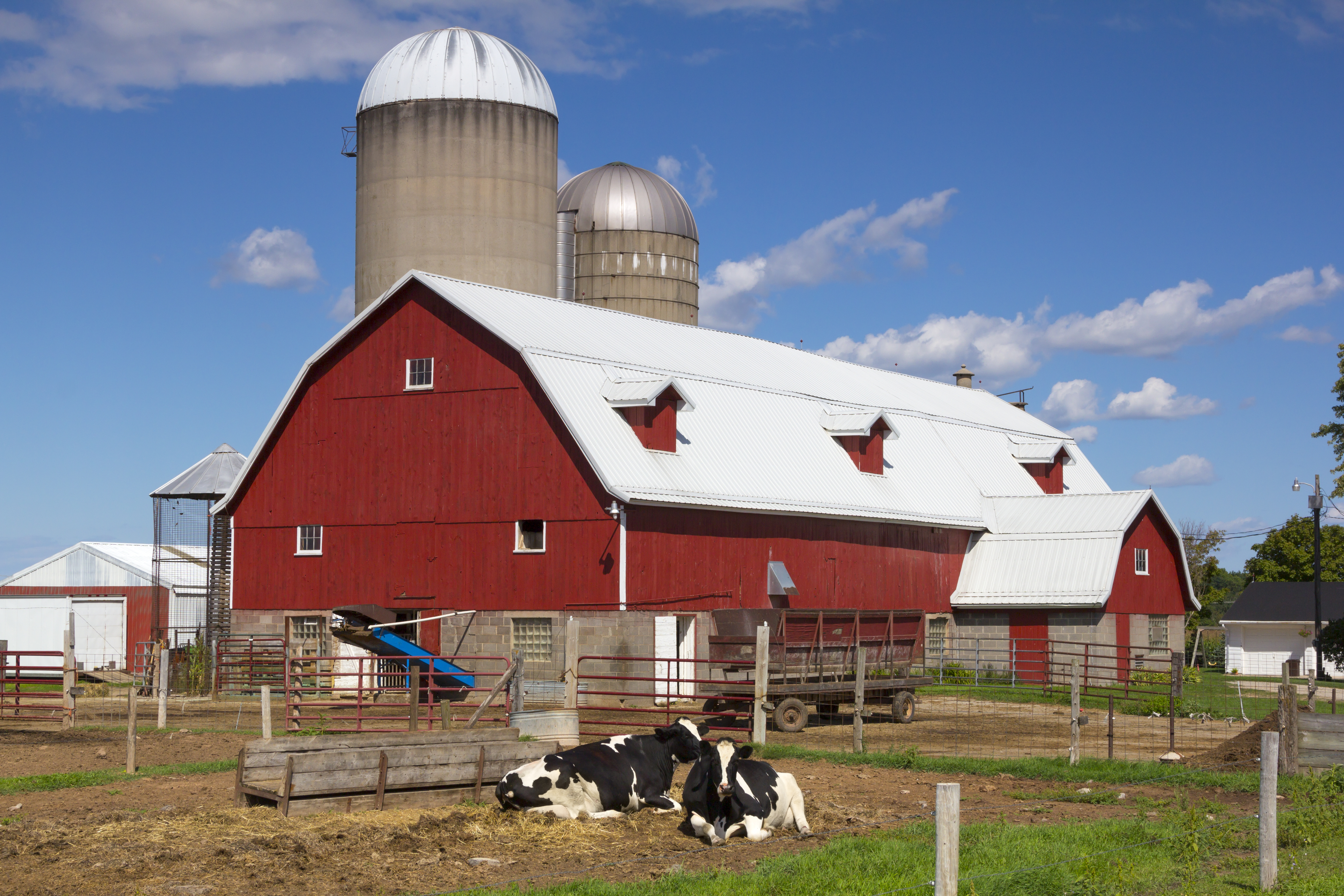 5 Modern Dairy Industry Benefits to Acknowledge and Celebrate