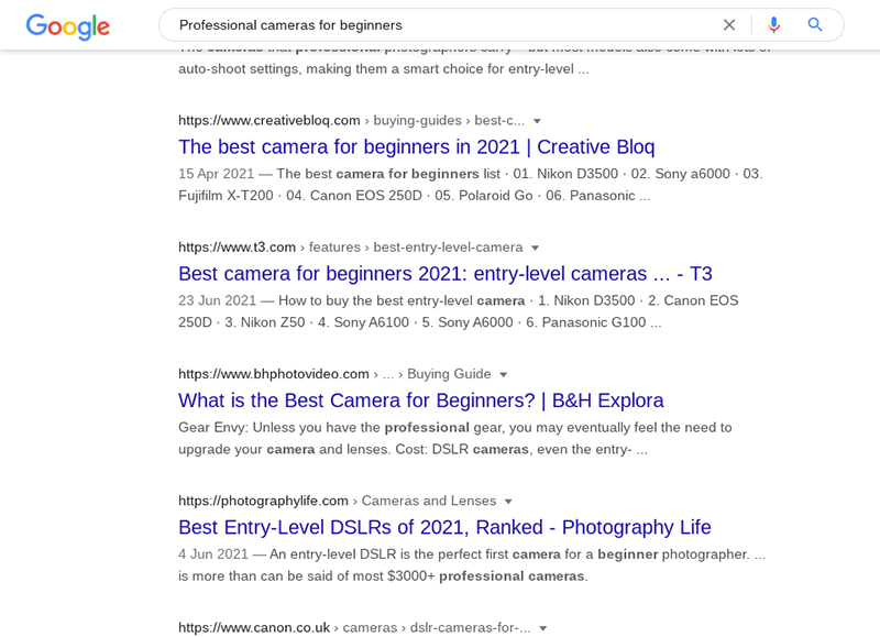 professional cameras for beginners - search intent example