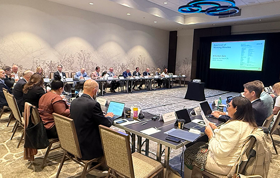 Strategic Planning, Advocacy, and Finances Headline AEM Board Meeting